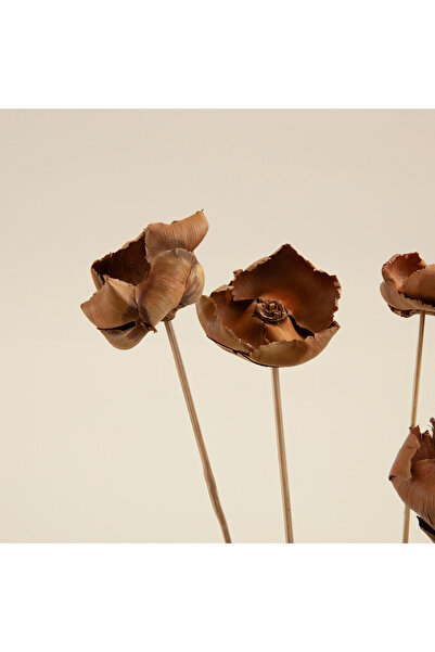 Chakra Estelle Demet Kuru Çiçek Natural