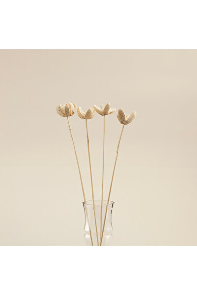 Chakra Nixie Demet Kuru Çiçek Natural