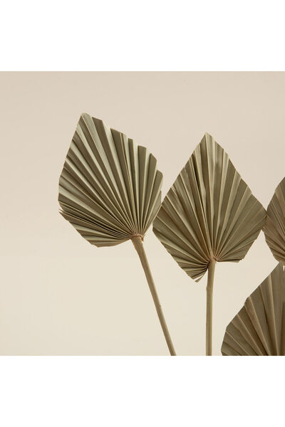 Chakra Ella Demet Kuru Çiçek Natural