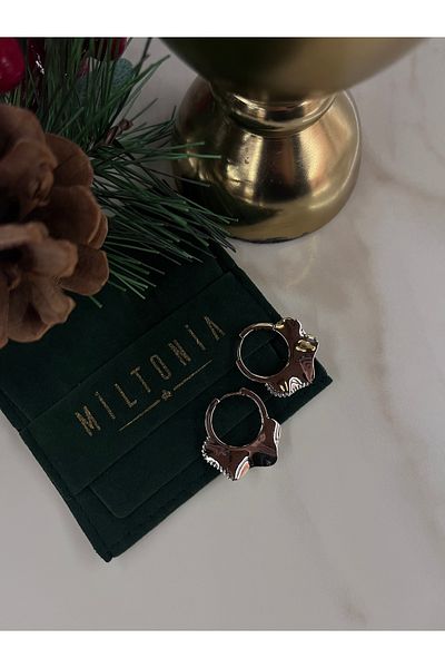 Miltonia Round Asymmetrical Modern Steel Earrings