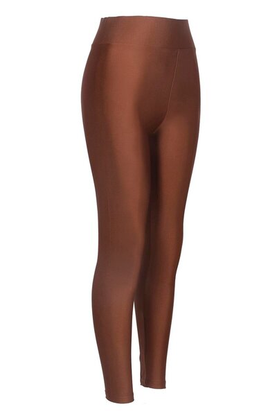 ERDEM İÇ GİYİM Erdem Weweus Brown Shiny Tights 1091g