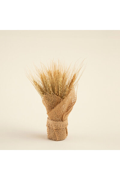 Chakra Biana Kuru Çiçek Natural