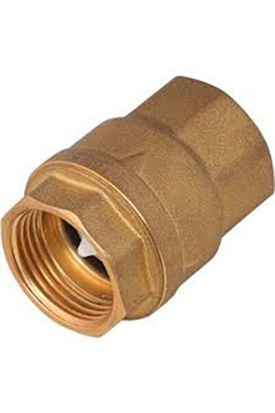 Genel Markalar 3/4" Dik Çekvalf Cv 004