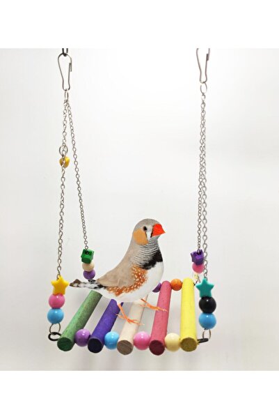 ozzipetshop Hint Bülbülü Kuşu Için Ahşap Salıncak - Kuş Salıncağı Süpriz Hedi...