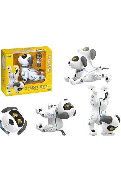 CanEm Etkileşimli Dans Eden Robot Köpek "k16"