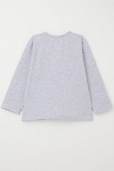 Breeze T-Shirt for Baby Boys - 9 Months-3 Years, Long Sleeve, Light Gray Melange