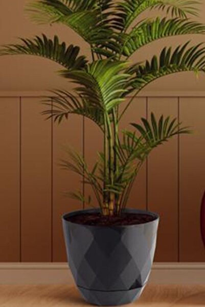 TEMMUZ HOME 15 Litre Dekoratif Prizma Desenli Büyük Boy Tabaklı Plastik Saksı Yakamoz No6 32,5cm 28,5cm