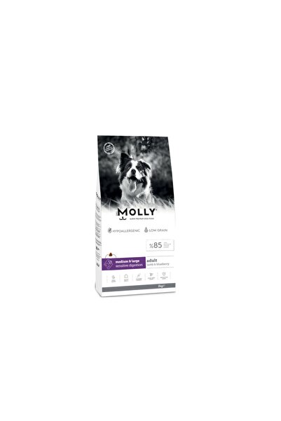 Molly Medium Adult Kuzu Etli & Yaban Mersinli Orta ve Büyük Irk Yetişkin Köpe...