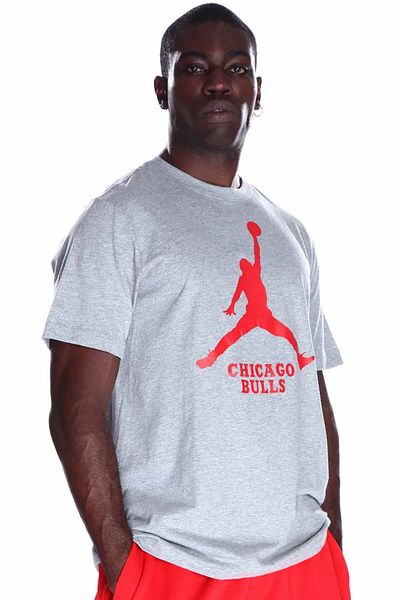 Nike Ανδρικό γκρι μπάσκετ μπλουζάκι NBA Chicago Bulls