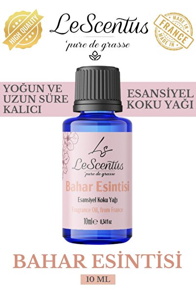 Genel Markalar Bahar Esintisi Esansiyel Koku Yağı Buhurdanlık Yağı Difüzör Ho...