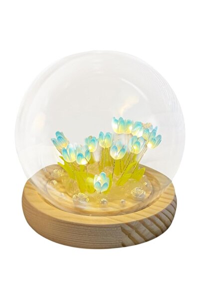 Hediye Rüzgarı LED Işıklı Kendin Yap Lale Cam Küre Gece Lambası