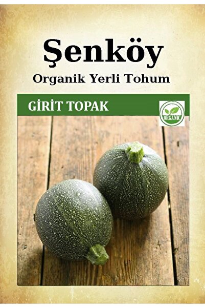Şenköy Yerli Girit Topak Kabağı Tohumu Doğal Topak Dolmalık Kabak Ata Tohumu ...