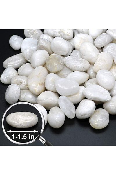 Generic White Pebbles Stones Large Natural Decorative Polished 2.2lbs (1 KG) 1" - 1.5" Size