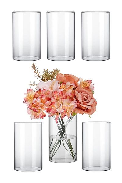Home Zone Set of 6 Clear Glass Cylinder Vases 7 Inch (18 cm) Tall Flowers Vases