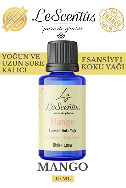 lescentus Mango Esansiyel Koku Yağı Buhurdanlık Yağı Difüzör Hobi Esansı Oda ...