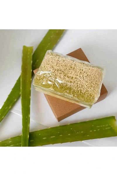 Royaleks Natural Pumpkin Fiber Alovera Soap