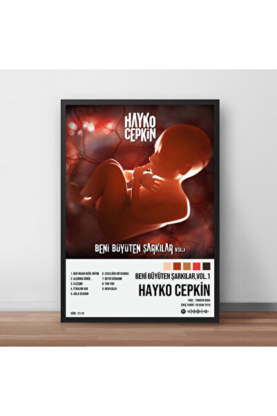 Orendart Hayko Cepkin - Beni Büyüten Şarkılar Vol.1 Albüm Spotify Çerçeveli P...