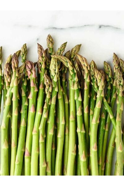 AGRODAL TARIM Ata Tohumu Yerli Doğal Kuşkonmaz Tohumu 40 Ad. Sebze Tohumu