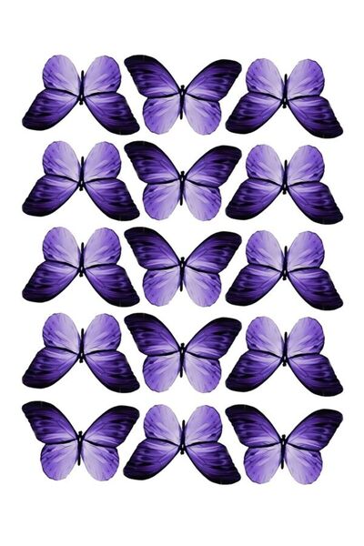 EyER Shoping ورق صور سميك لامع 220 جرام لباقة الفراشات مقاس كبير 30 قطعة أرجواني