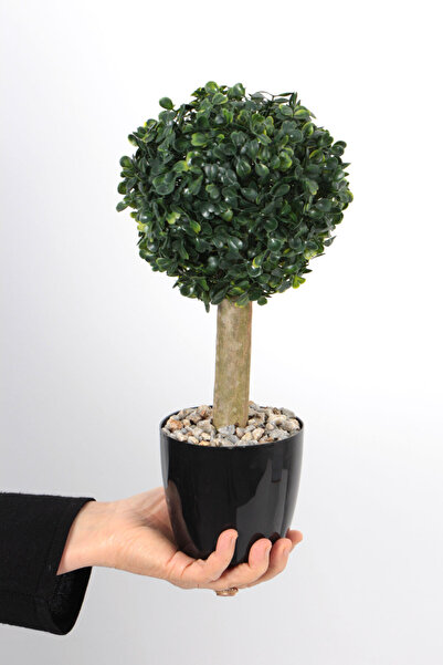 Yapay Çiçek Deposu Mini Ball Boxwood in Pot 32 cm