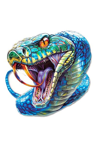 MegaSticker Autocolant 14x12 cm Blue Wild Aggressive Snake - Mașină, Motocicletă, Cască, Laptop, Sticlă