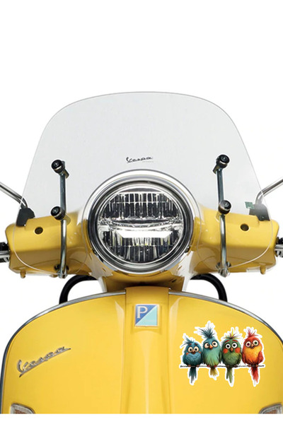 MegaSticker Renkli afacan kuşlar Sticker Araba, Motorsiklet, Kask, Laptop, Cam Sticker 14x9 Cm