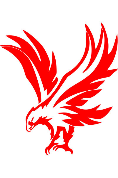 Birim Matbaa Avlanmaya Ready Eagle Auto Sticker (I17X19 cm)
