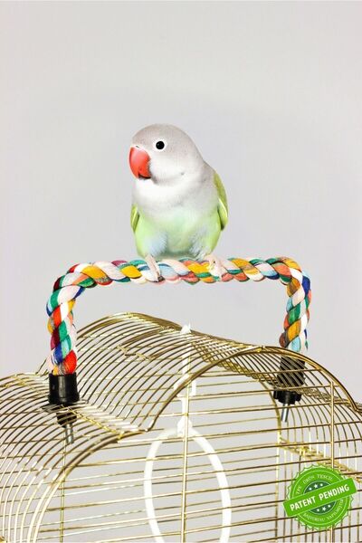 EBAMBU YENİ NESİL Doğal Tünek Papağan İçin Şekil Alan 2 ADET TÜNEK SET 65 ve 80 cm. BOYUNDA 2,5-3 cm EN