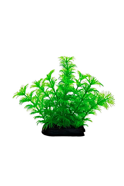 Aqua Master Plastik Süs Yapay Akvaryum Bitkisi Dekoru 12 cm - Yeşil