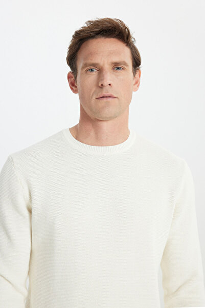 ALTINYILDIZ CLASSICS Чоловічий Екру 100% бавовна, зберігає тепло, стандартний крій, прямий крій, комір-стійка, трикотажний светр з рисовим візерунком