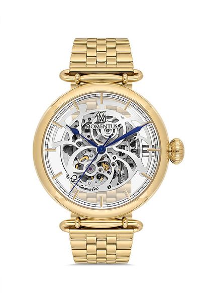 Momentus Men's Time Masters Tm271G-16Sg Women Wrist Watch