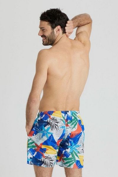 ARENA Beach Men's Swim Shorts 005251320