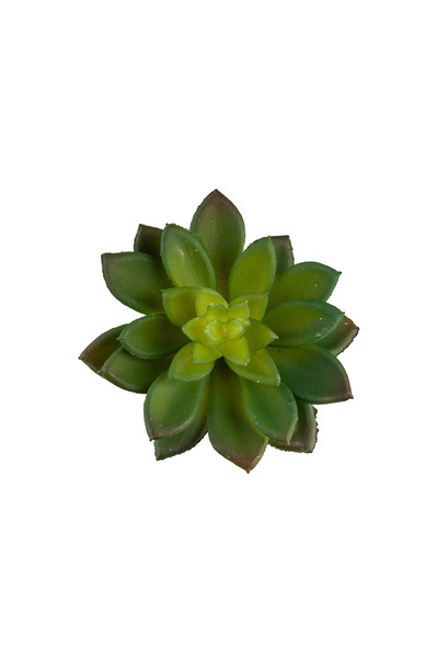 Dekorsende Yapay Mini Etli Echeveria Sukulent Yeşil 12 Cm