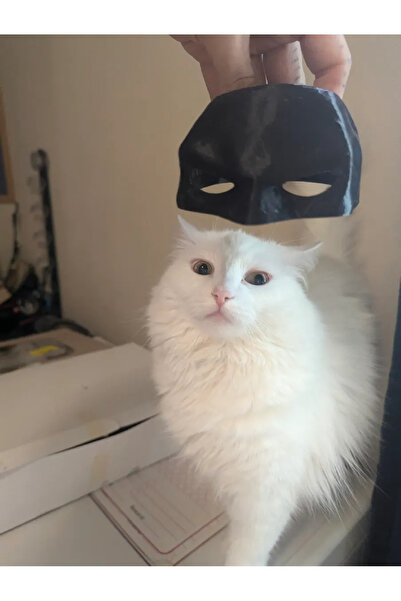 Genel Markalar Batman Kedi Maskesi