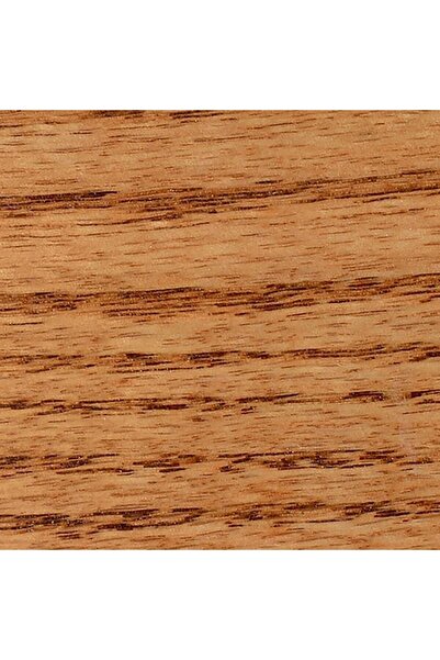 Minwax Wood Finish Penetrating Stain 1Quart