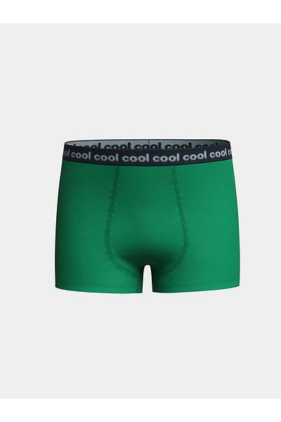 LC Waikiki Green Boy's Boxer 3-pack