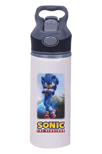 DKDZ SHOP Sonic Printed Straw Bottle - Metal Water Bottle - 650ml - 010