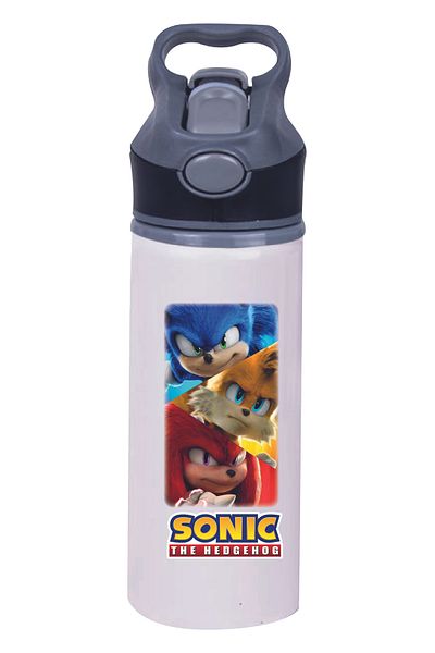 DKDZ SHOP Sonic Printed Metal Water Bottle with Straw - Water Flask - 650ml - 008