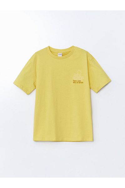 LC Waikiki Crew Neck Boy's T-Shirt