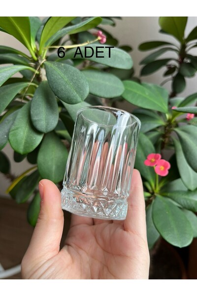 DİBA AVM Küçük Boy Kahve Yanı Su Bardağı sunum bardağı  Cam 6 Adet 60ml Elysi...