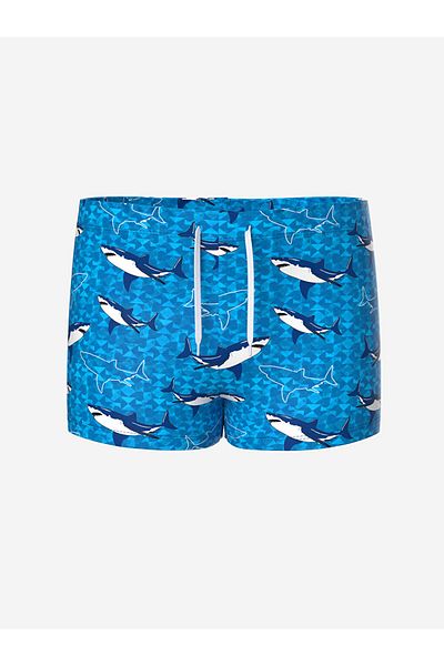 LC Waikiki Blue Quick Dry Uv Protection Boy's Boxer Swimwear