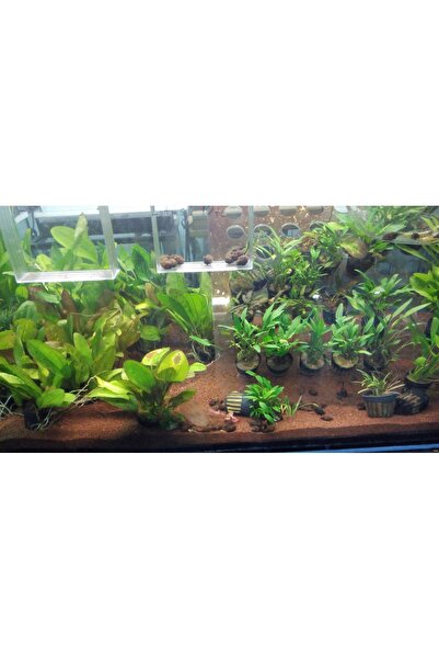 Vitasand Pro-92 Kırmızı Bitki Kumu 2 Mm - 20 Kg. (kova)