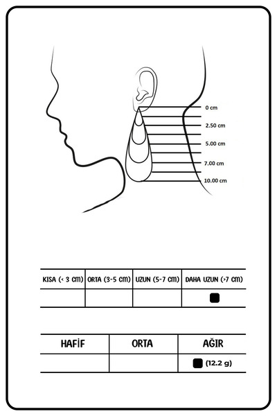 Glaren Big Star Smoke Color Stone Women's Evening Dress Earrings