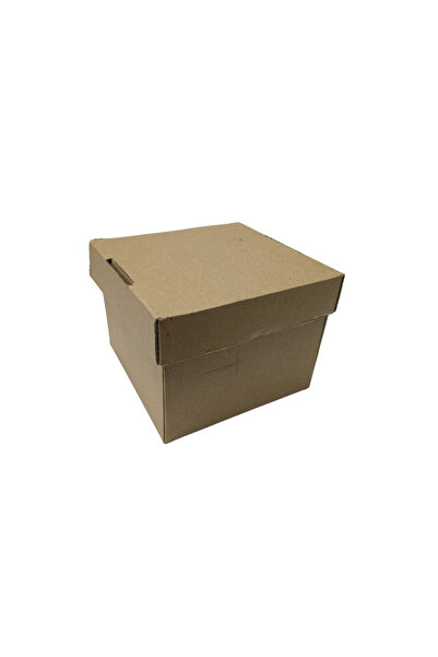 KARTEKS AMBALAJ E Ticaret Üst Kapaklı Kargo Kutusu 13x13x10 Cm 100 Adet