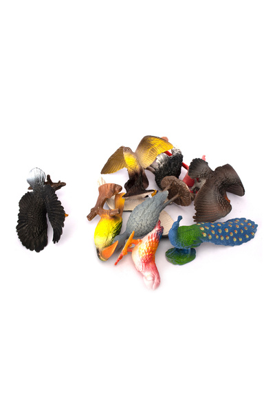 Fab N Funky Bird Figure Set, Meticulously Detailed, Durable, Realistic Features, 3 Years+, 38cm - 10 Pieces