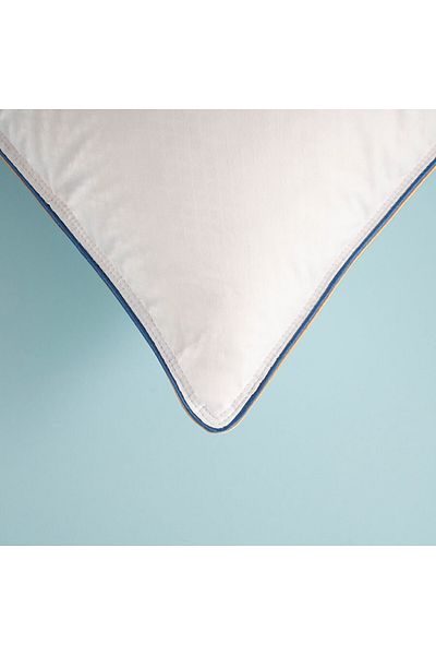Mulberry Climated Goose Feather Anti-Sweat Pillow 50X70 cm