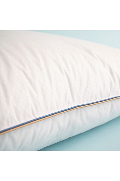 Mulberry Climated Goose Feather Anti-Sweat Pillow 50X70 cm