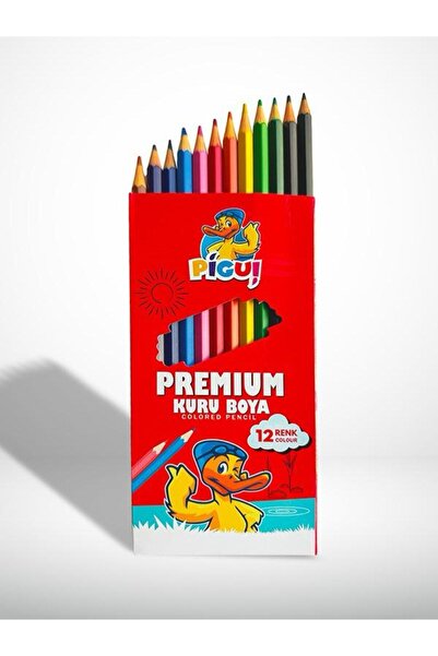 pigui PİGUİ PREMİUM KURU BOYA 12 RENK