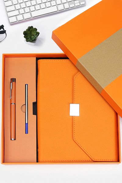 Trendmiya Set de pixuri pentru notebook cu cutie portocalie
