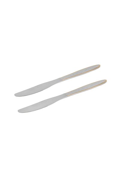 ROYALFORD 2-piece Stainless Steel Table Knife- RF12553